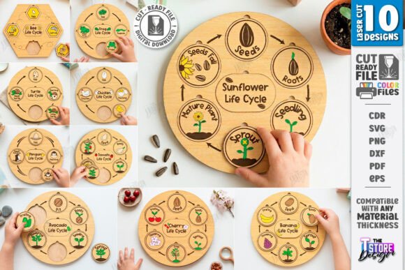 Life Cycle Puzzles Laser Cut Bundle CNC